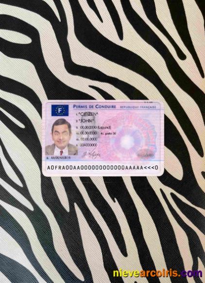 France driving license photolook